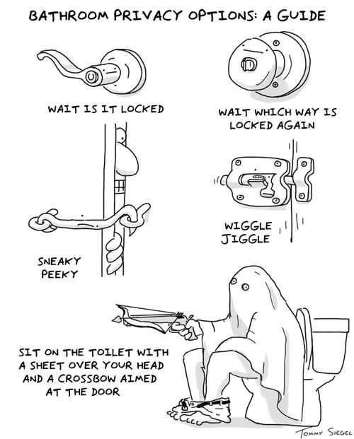 Bathroom privacy options: A guide.