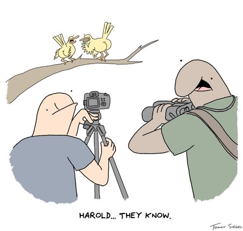 "Harold... they know."