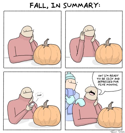 Fall, in summary...
