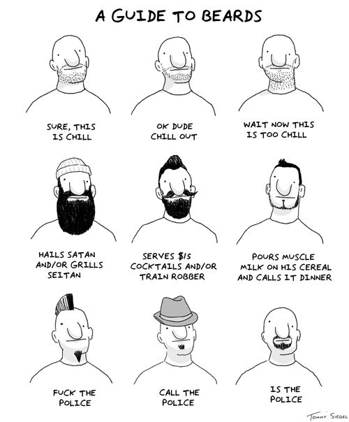 A Guide to Beards...