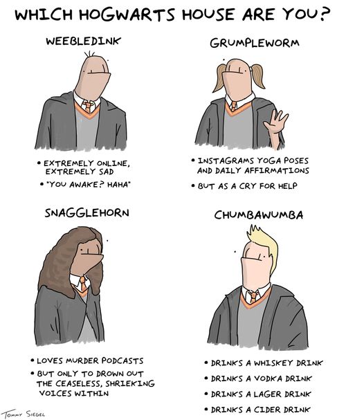 Which Hogwarts house are you?