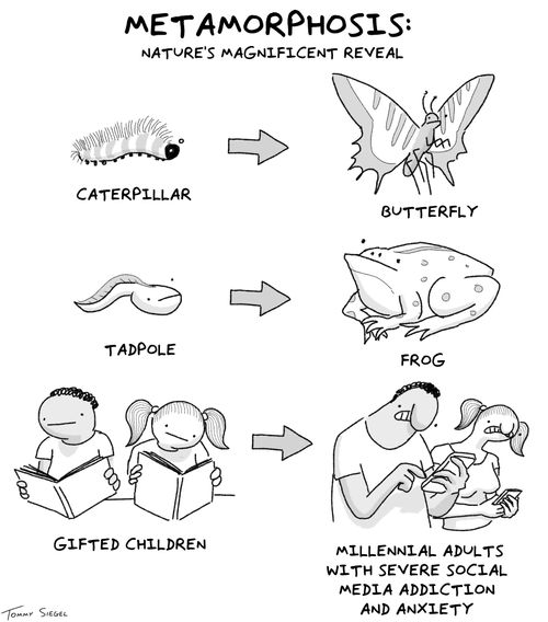 Metamorphosis: Nature's Magnificent Reveal