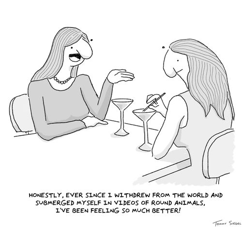 "Honestly, ever since I withdrew from the world and submerged myself in videos of round animals, I've been feeling so much better!"