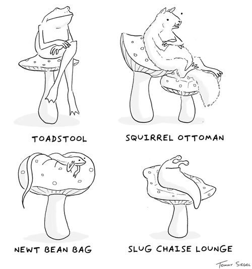 Animals and their natural seats.