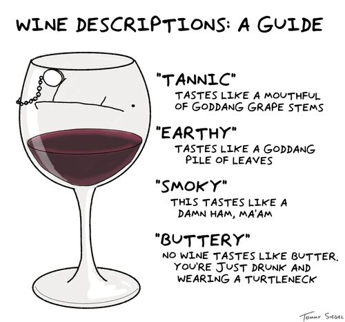 Wine Descriptions: A Guide