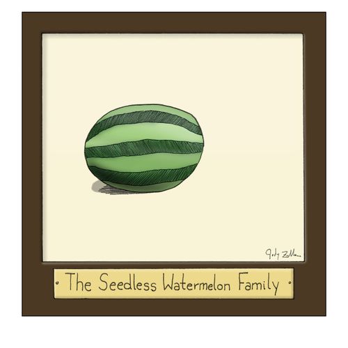 The Seedless Watermelon Family
