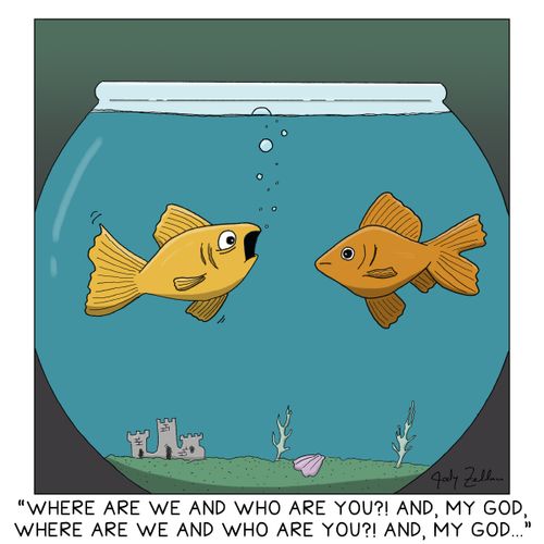 "Where are we and who are you?! And, my god, Where are we and who are you?! And, my god..."