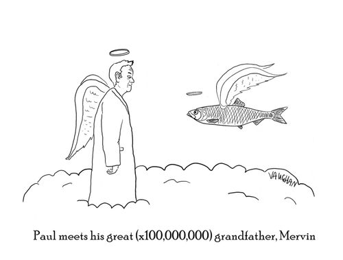 "Paul meets his great (x100,000,000) grandfather, Mervin."