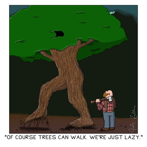 "Of course trees can walk. We're just lazy."