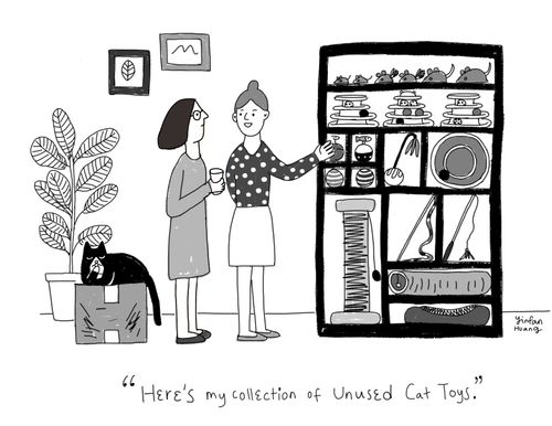  "Here's my collection of unused cat toys."
