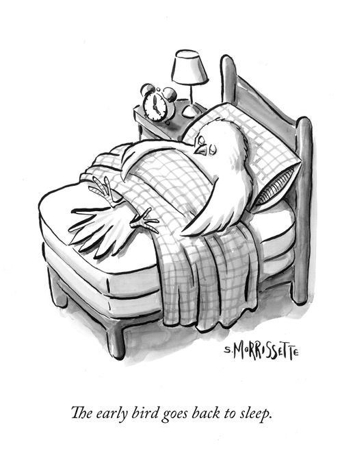 The early bird goes back to sleep.