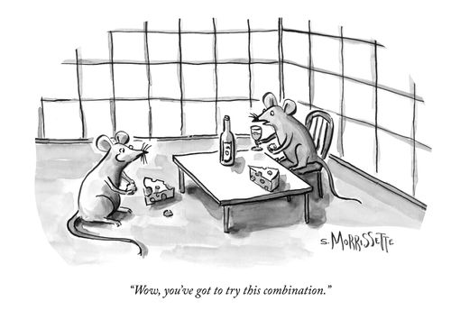 "Wow, you've got to try this combination."