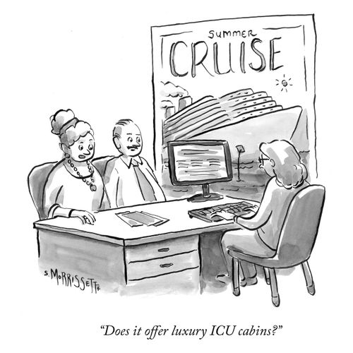"Does it offer luxury ICU cabins?"