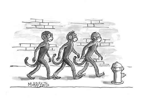 Three Covid Monkeys