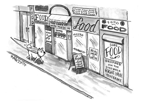 Dog Sees Only Food