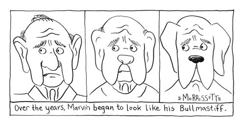Over the years, Marvin began to look like his bull mastiff.