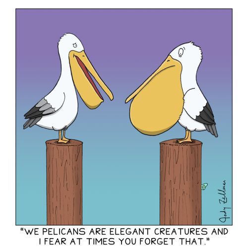 "We pelicans are elegant creatures and I fear at times you forgot that."
