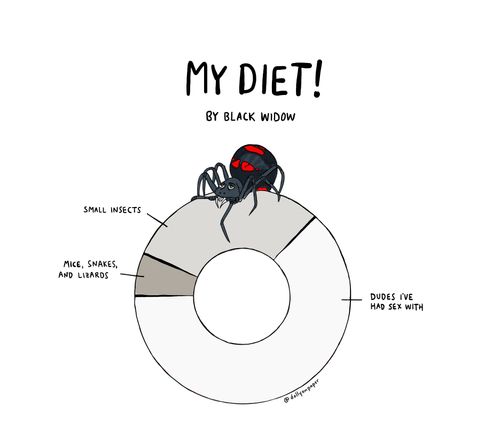 Black Widow Diet