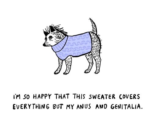 I'm so happy that this sweater covers everything but my anus and genitalia.
