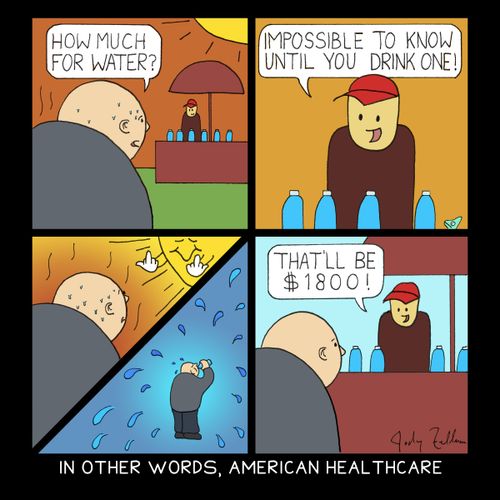 In other words, American healthcare.