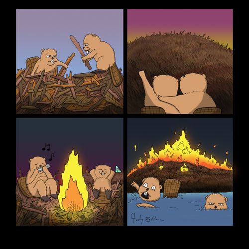 Beaver Dam