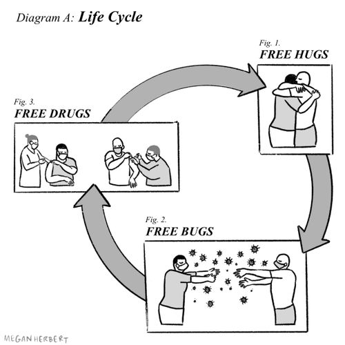 Diagram A: Life cycle