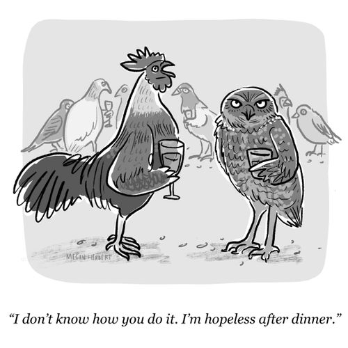 "I don't know how you do it. I'm hopeless after dinner."