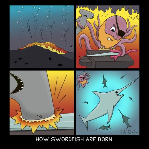 How Swordfish Are Born
