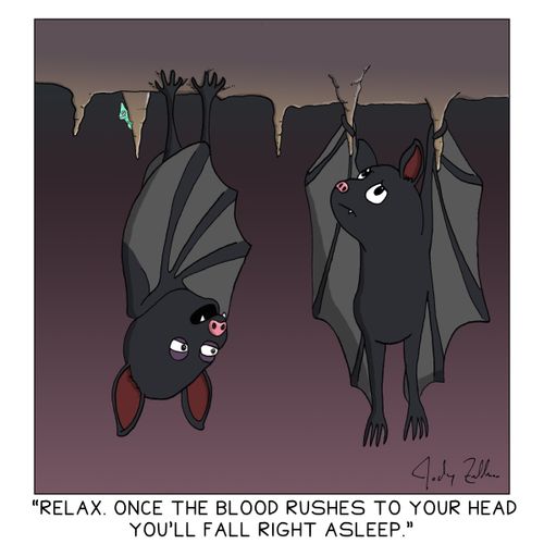 "Relax. Once the blood rushes to your head you'll fall right asleep."
