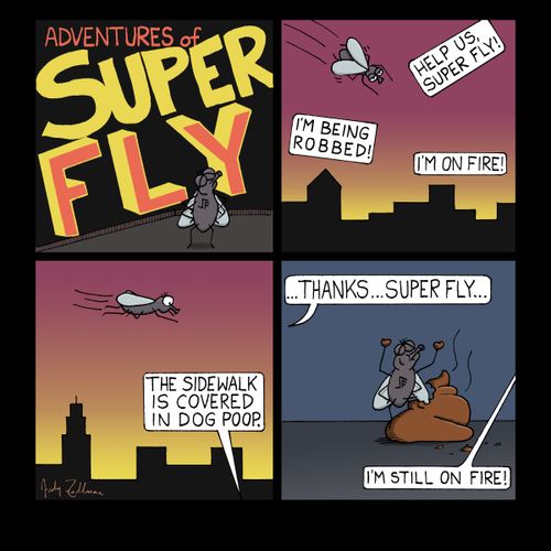 Adventures of Super Fly
