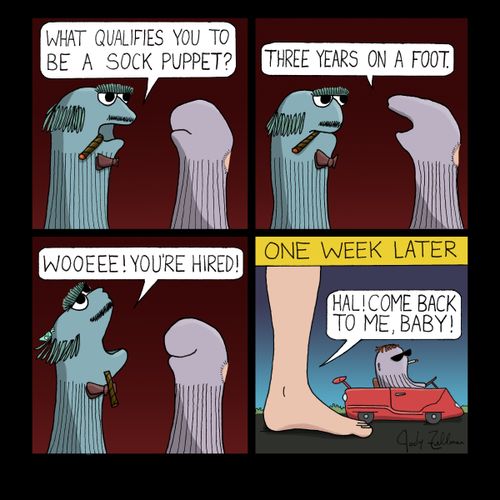 "What qualifies you to be a sock puppet?"