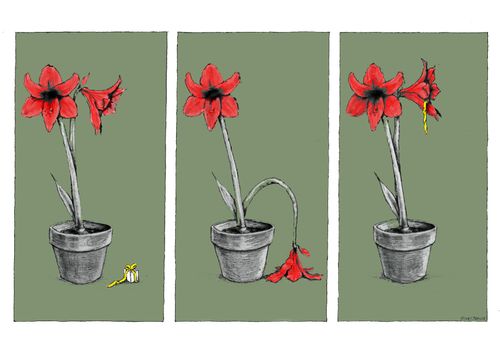 Present Eating Flower