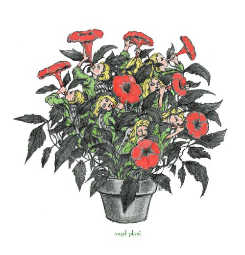 Flower Trumpet