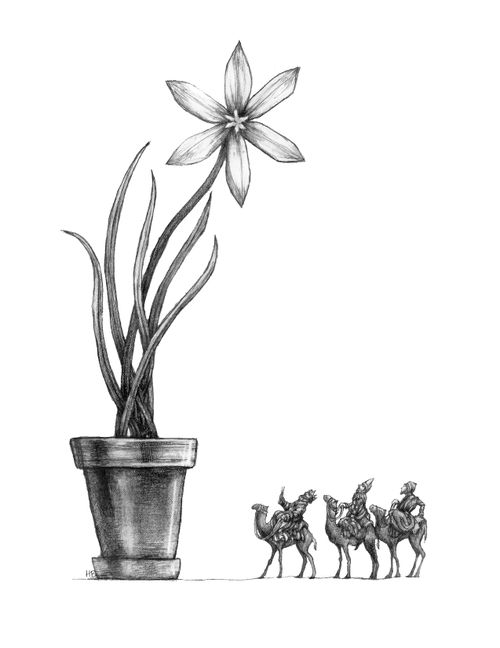 Three Wise Men Visiting Flower