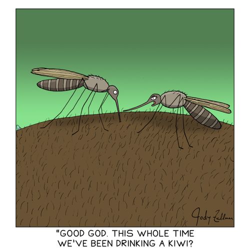"Good God. This whole time we've been drinking a kiwi?"