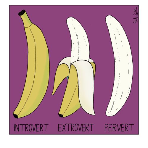 Introvert, Extrovert, pervert
