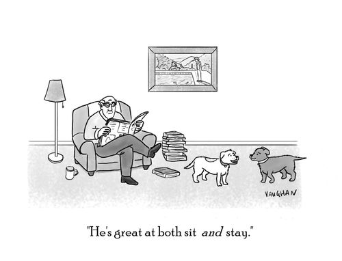 "He's great at both sit and stay."