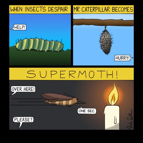 Supermoth
