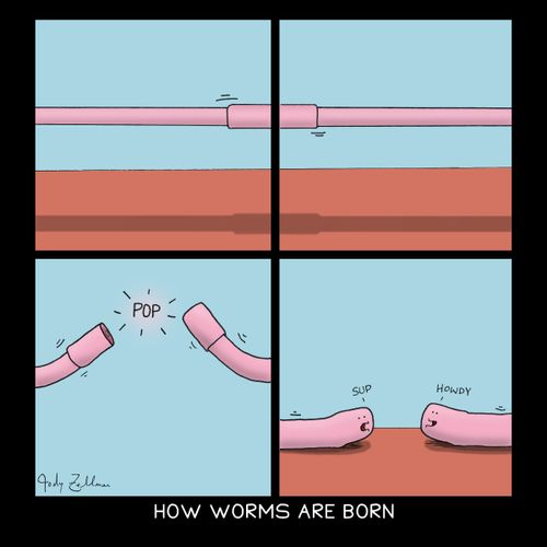 How Worms Are Born