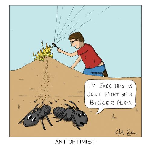 Ant Optimist
