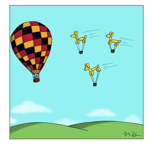 Hot Air Balloon