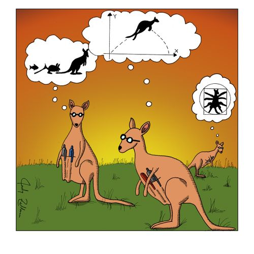 Smart Kangaroos