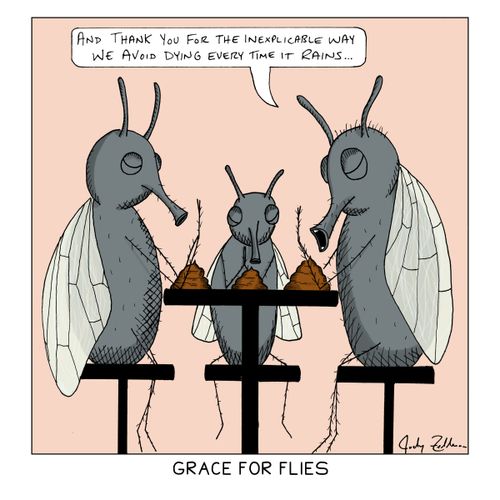 Grace For Flies