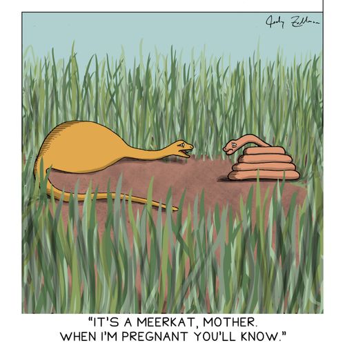 "It's a meerkat, Mother. When I'm pregnant, you'll know."