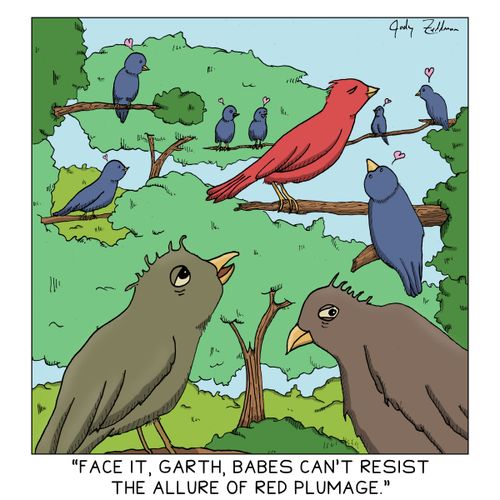 "Face it, Garth, babes can't resist the allure of red plumage."