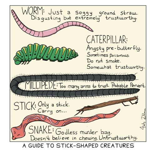 A Guide to Stick-Shaped Creatures