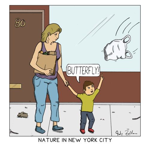Nature in New York City