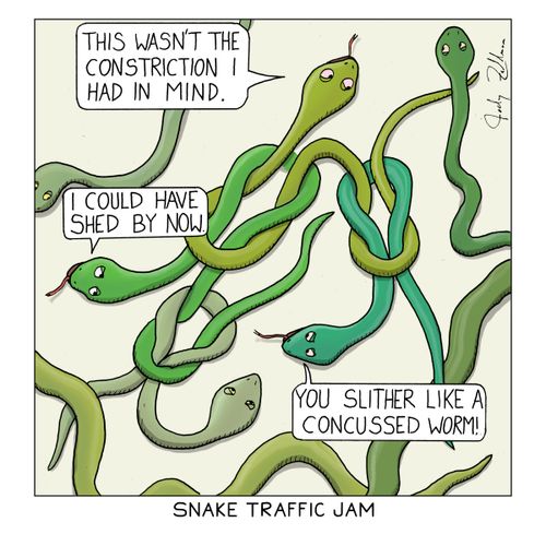 Snake Traffic Jam