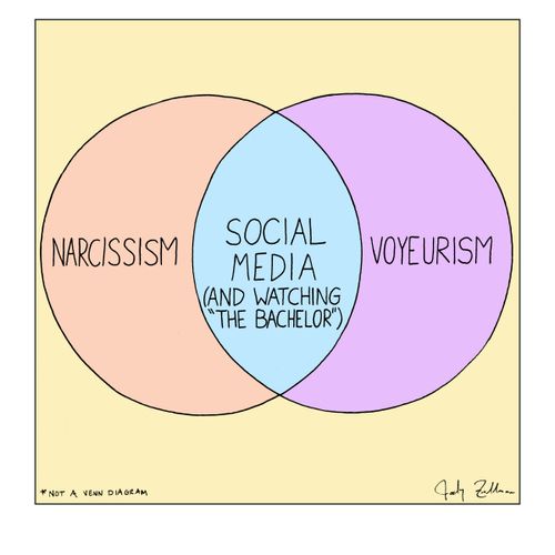Narcissism and Voyeurism