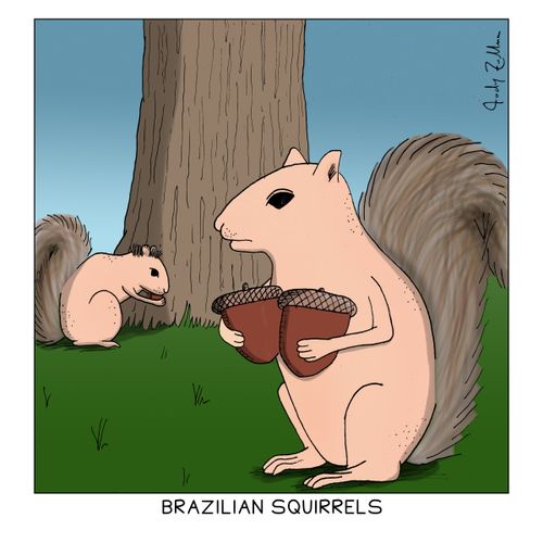 Brazilian Squirrels